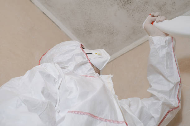 Best Attic Mold Removal  in Oceanport, NJ